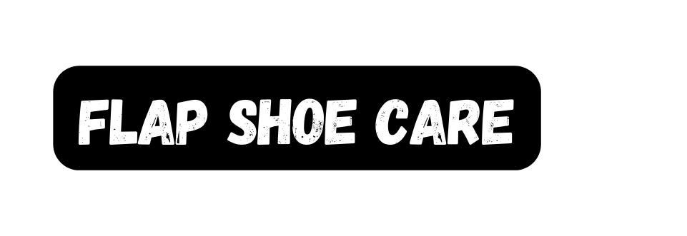 Flap Shoe Care
